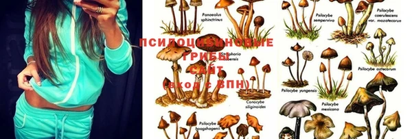 apvp Алексеевка