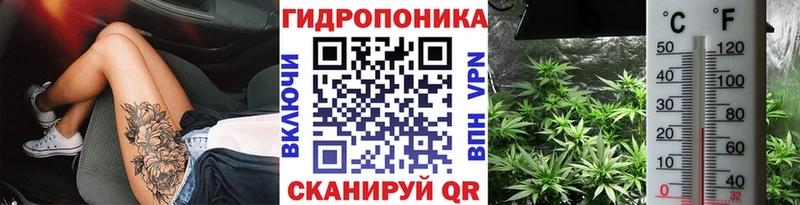 Бошки Шишки гибрид  Томск 